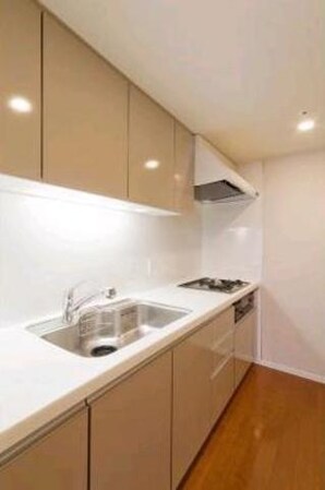 パークアクシス辰巳ステージの物件内観写真